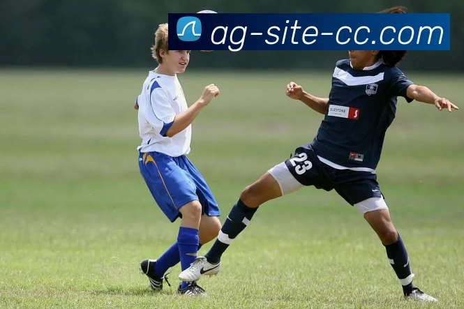 AG娱乐APP 封面图